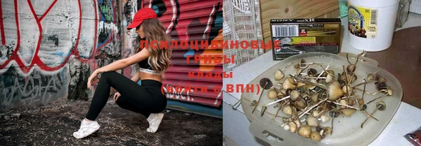 каннабис Горно-Алтайск