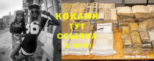молекула духа Горнозаводск